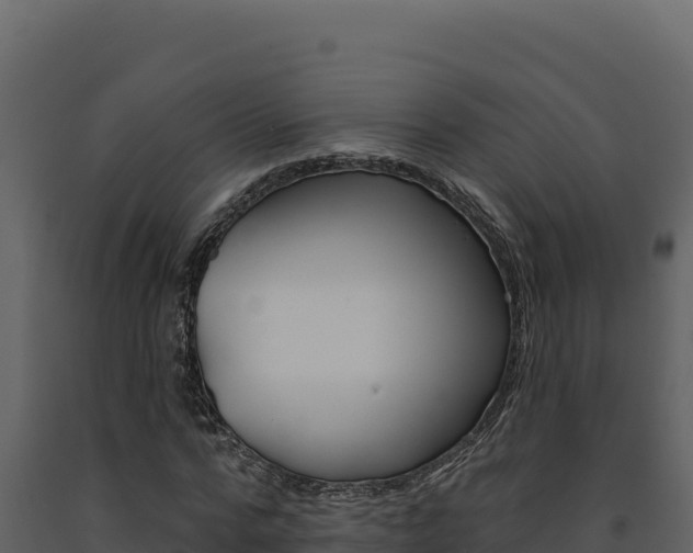 X0000091730776200708241043