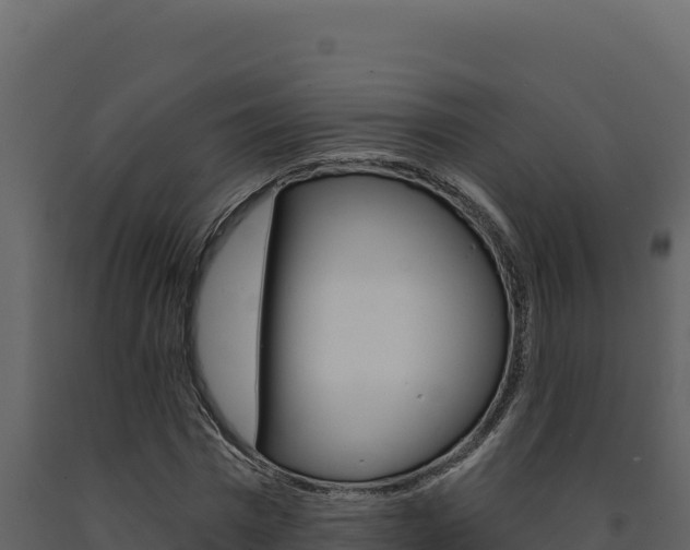 X0000091730777200708241043