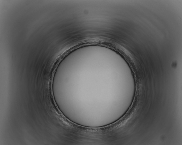 X0000091730778200708241043