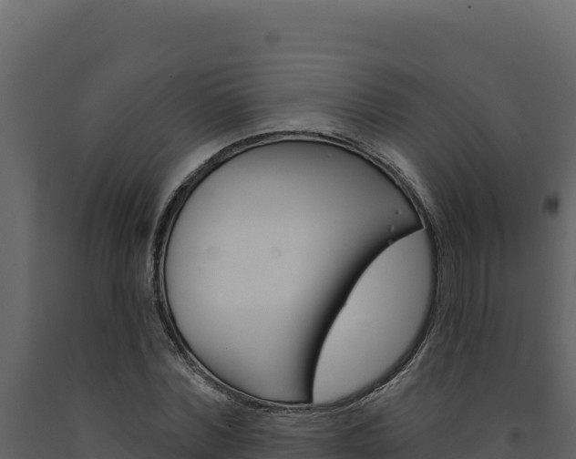 X0000091730780200708241043