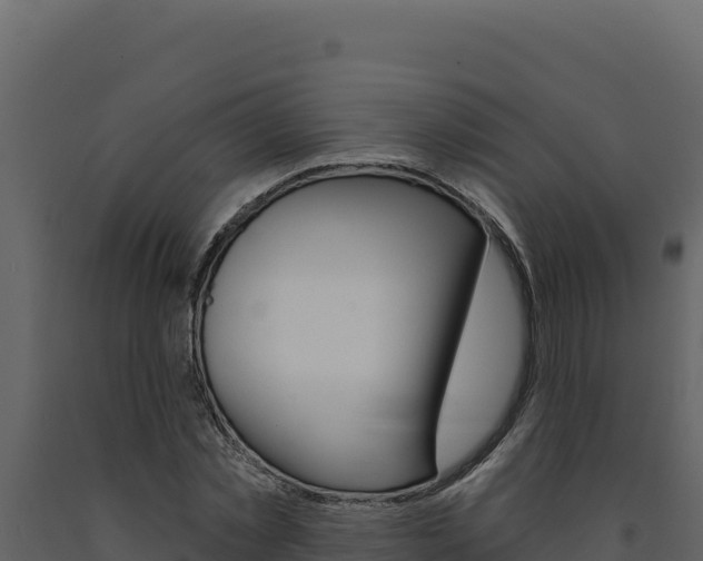 X0000091730781200708241043