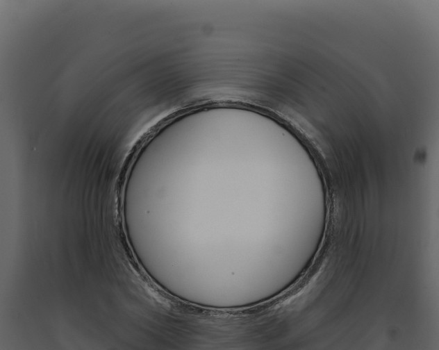 X0000091730782200708241043