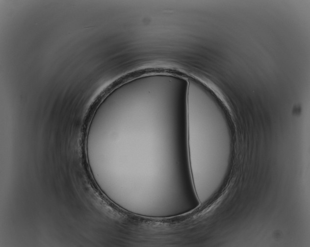 X0000091730783200708241043