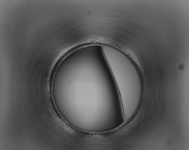X0000091730784200708241043