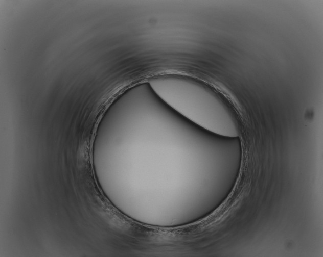 X0000091730785200708241043