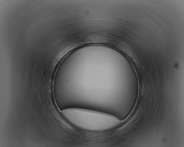 X0000091730786200708241043
