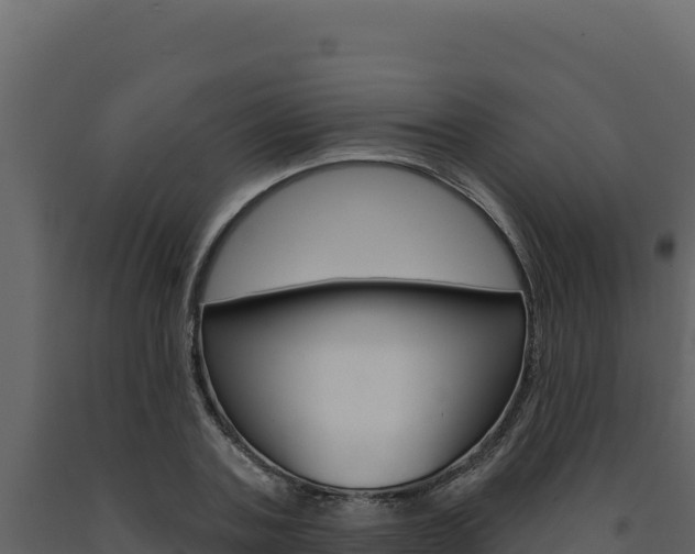 X0000091730787200708241043