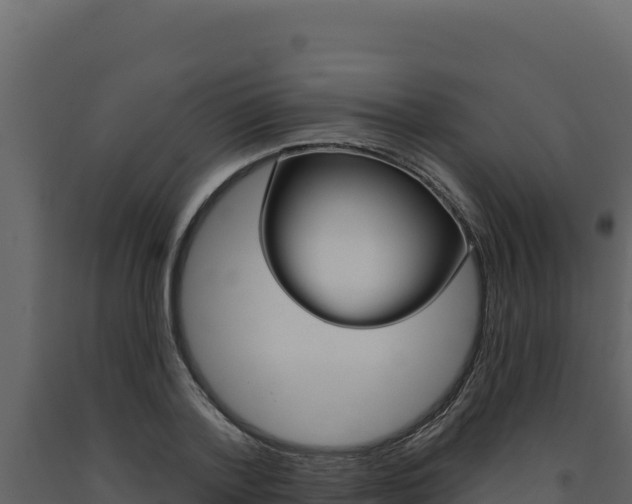 X0000091730788200708241043