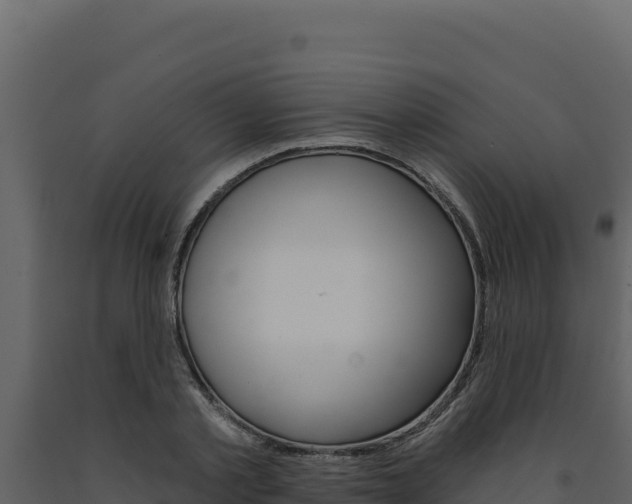 X0000091730789200708241043