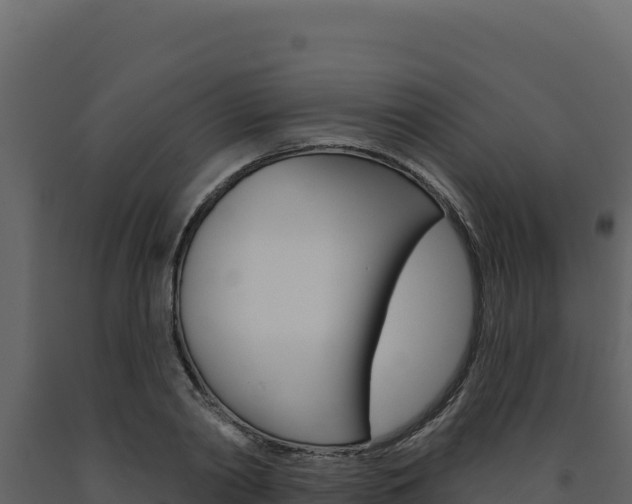 X0000091730790200708241043