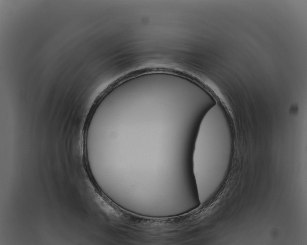 X0000091730791200708241043