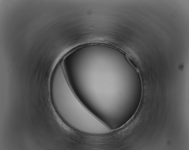 X0000091730792200708241043