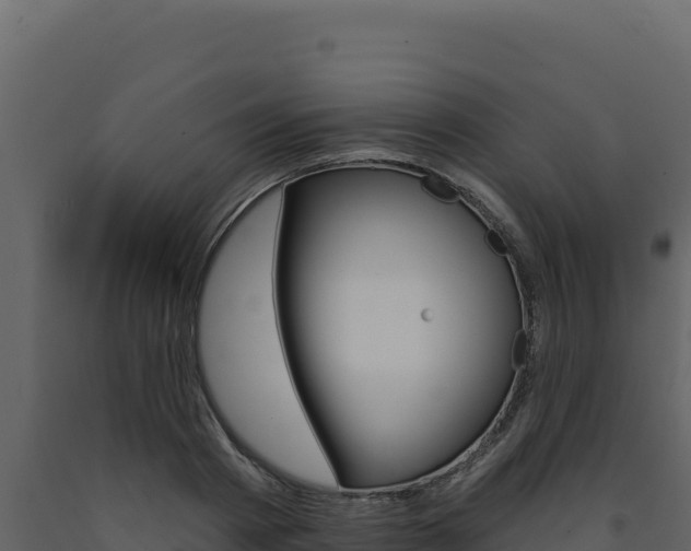X0000091730793200708241043