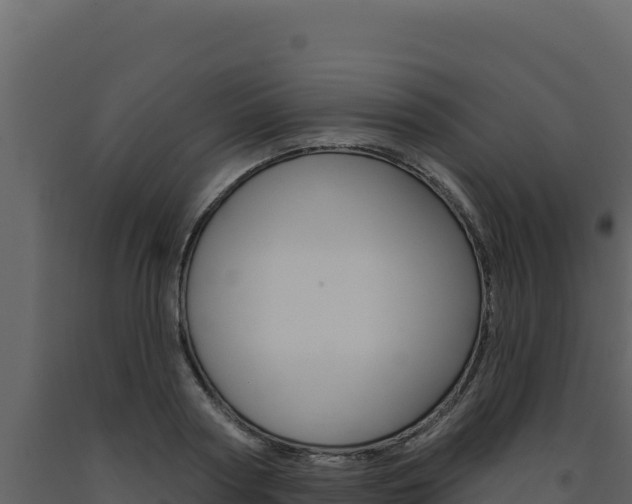 X0000091730794200708241043