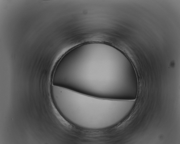 X0000091730795200708241043