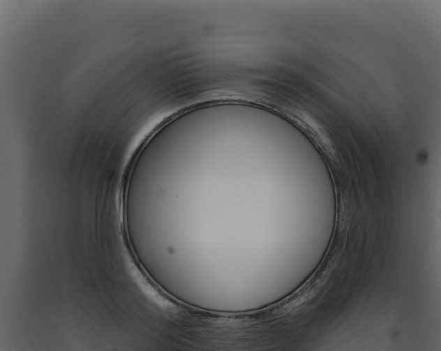 X0000091730796200708241043