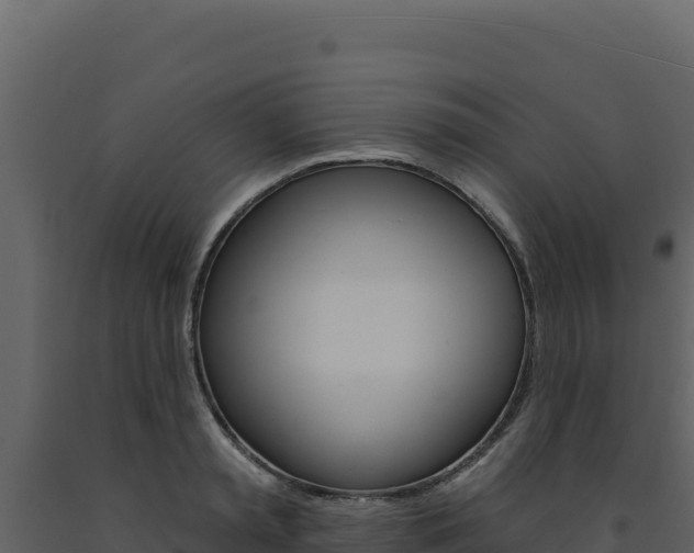 X0000091730797200708241043