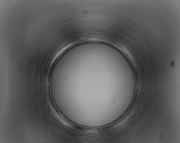 X0000091730798200708241043