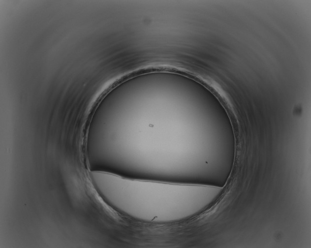 X0000091730799200708241043