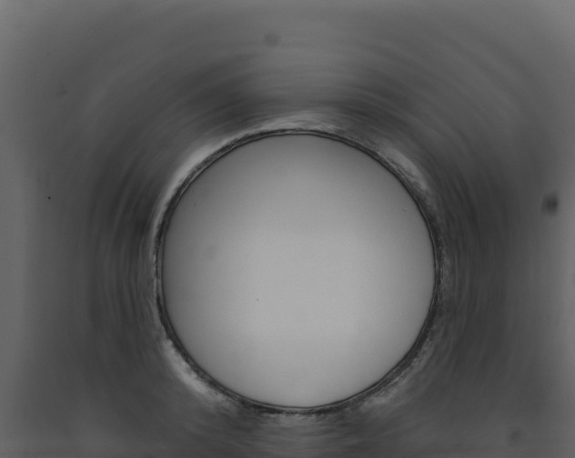 X0000091730800200708241043