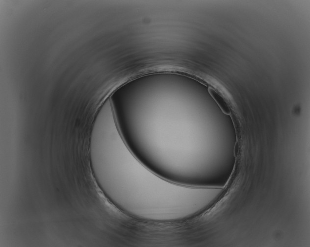 X0000091730801200708241042