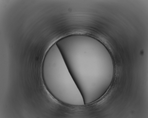 X0000091730802200708241042