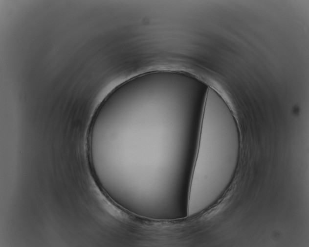 X0000091730803200708241042