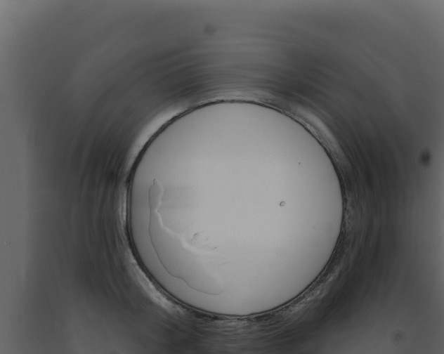 X0000091730804200708241042