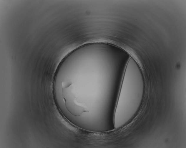 X0000091730805200708241042