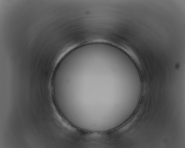 X0000091730806200708241042