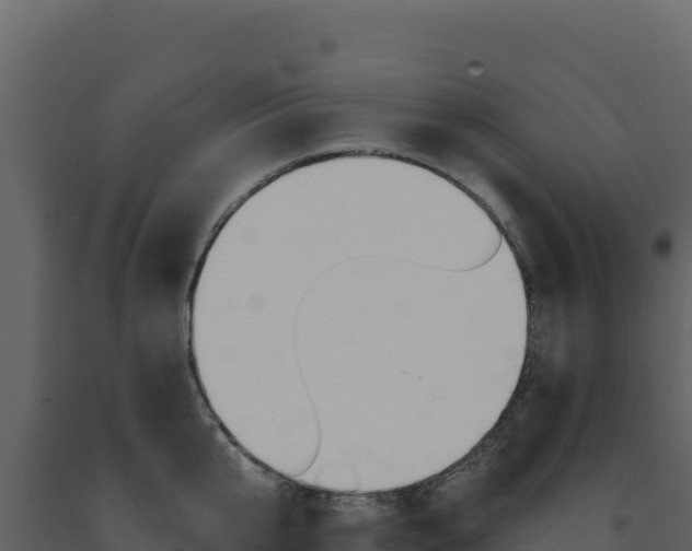 X0000091730807200708241042