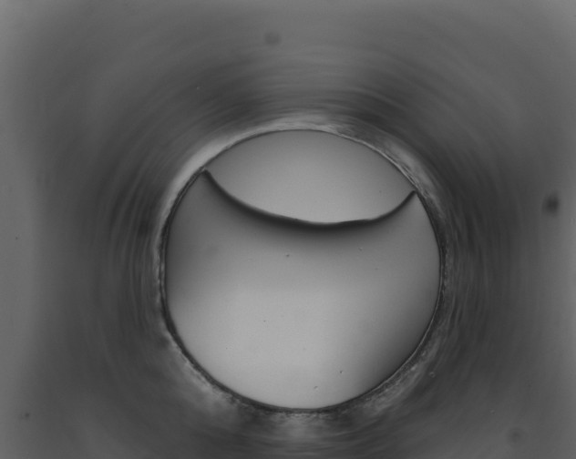X0000091730808200708241042
