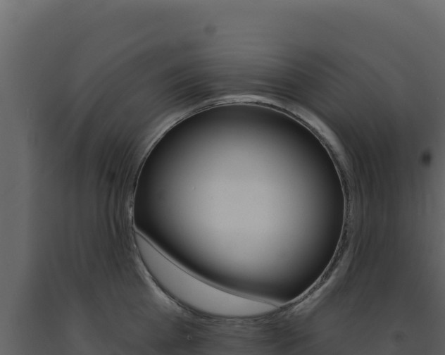 X0000091730809200708241042
