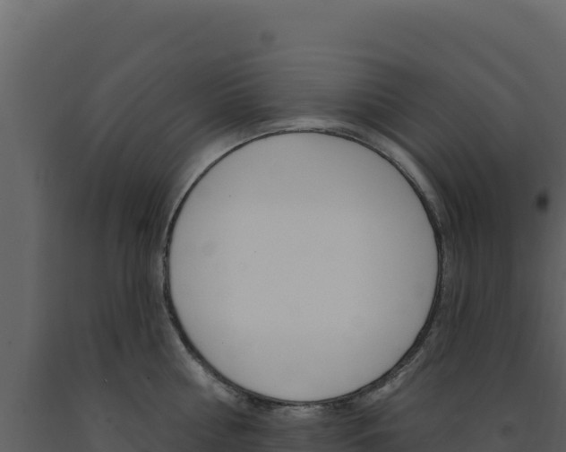 X0000091730810200708241042