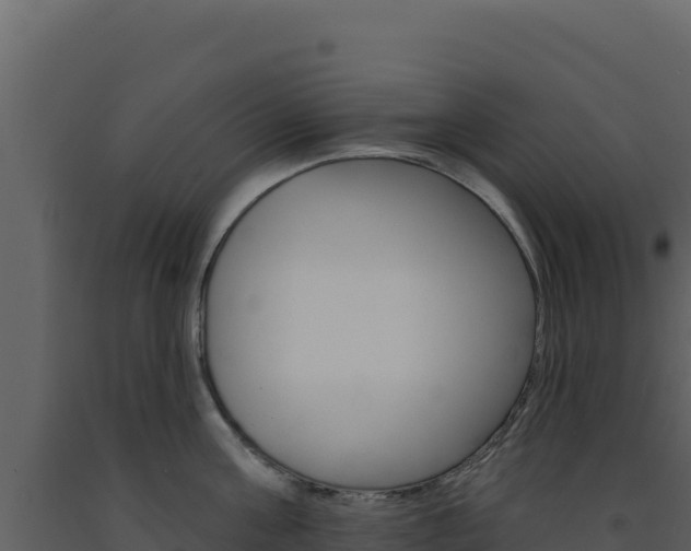 X0000091730811200708241042