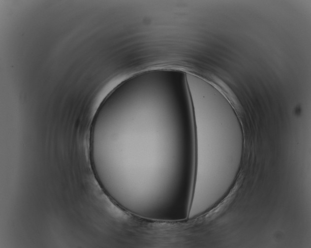 X0000091730812200708241042