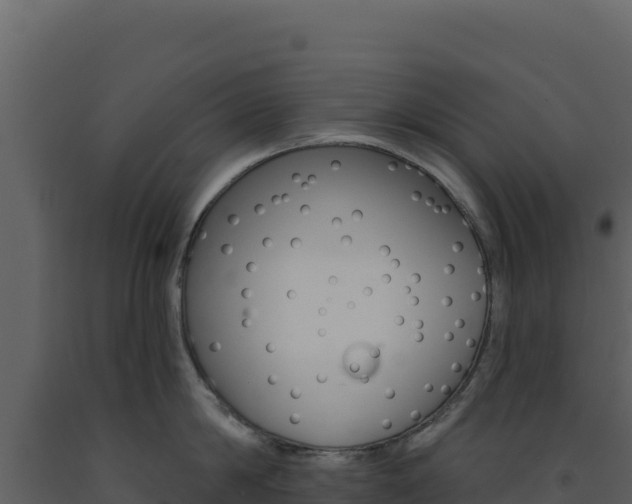 X0000091730814200708241042