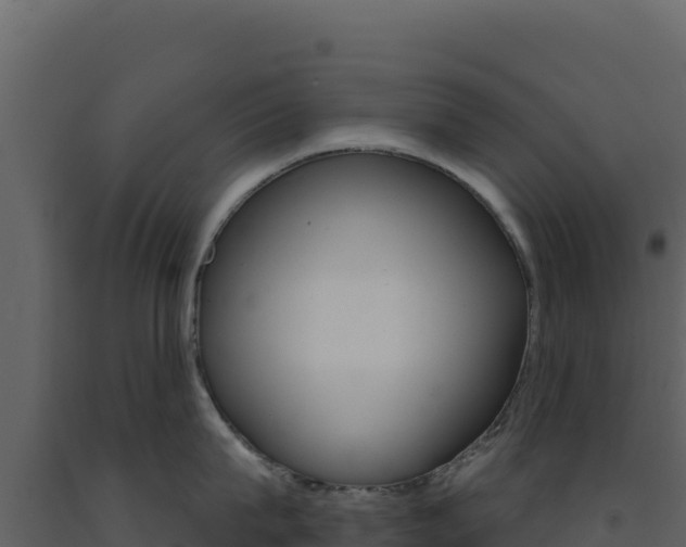 X0000091730815200708241042