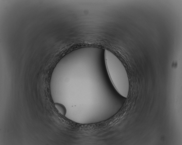 X0000091730817200708241042