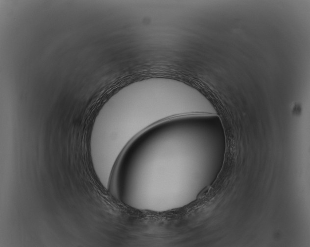 X0000091730818200708241042