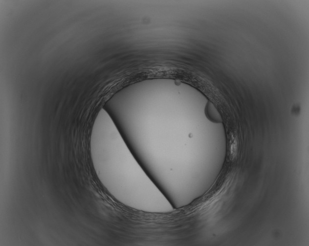 X0000091730819200708241042