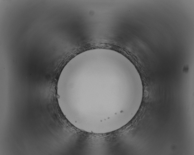 X0000091730820200708241042