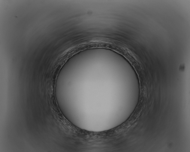 X0000091730821200708241042