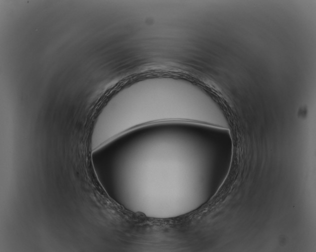 X0000091730822200708241042