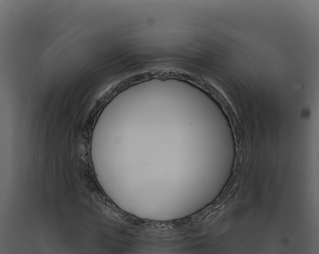 X0000091730823200708241042