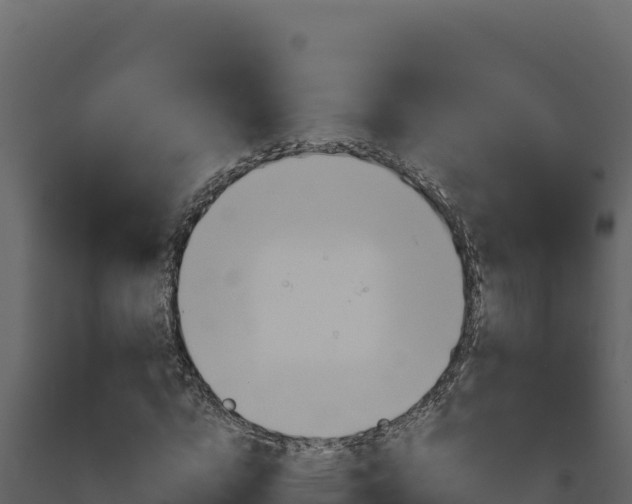 X0000091730824200708241042