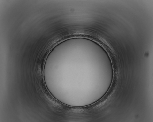 X0000091730825200708241042