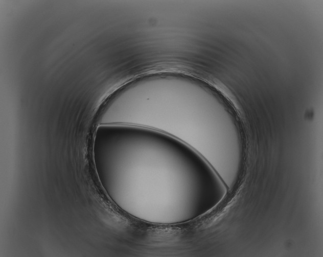 X0000091730826200708241042
