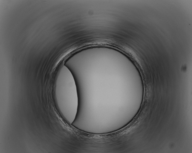 X0000091730827200708241042