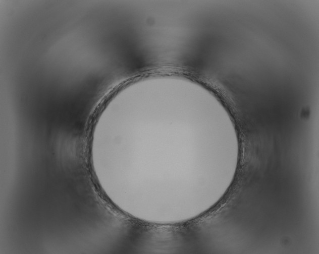 X0000091730828200708241042